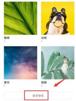 红米k20pro设置动态壁纸的方法是什么_安卓手机_手机学院_本站