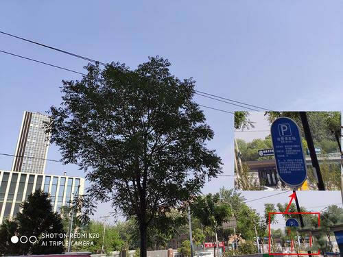 16XsRedmi K20Ŀպ 16XsRedmi K20ЧԱ_ֻ_ֻѧԺ_վ