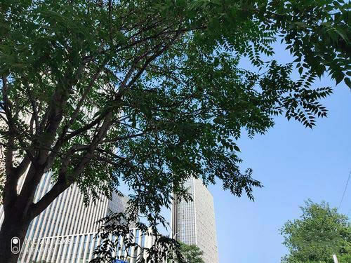 16XsRedmi K20Ŀպ 16XsRedmi K20ЧԱ_ֻ_ֻѧԺ_վ