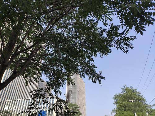 16XsRedmi K20Ŀպ 16XsRedmi K20ЧԱ_ֻ_ֻѧԺ_վ