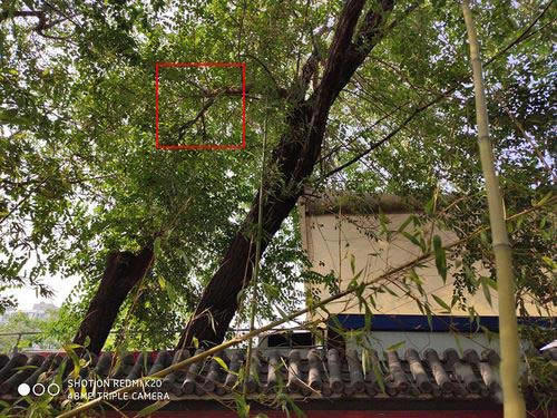 16XsRedmi K20Ŀպ 16XsRedmi K20ЧԱ_ֻ_ֻѧԺ_վ