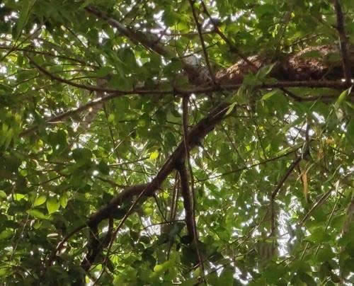 16XsRedmi K20Ŀպ 16XsRedmi K20ЧԱ_ֻ_ֻѧԺ_վ