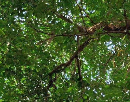 16XsRedmi K20Ŀպ 16XsRedmi K20ЧԱ_ֻ_ֻѧԺ_վ