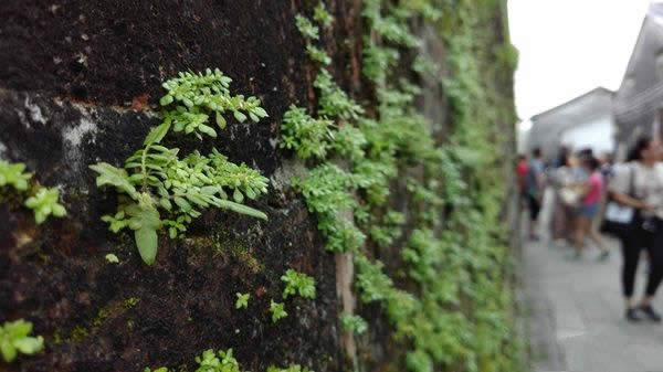 中兴axon天机7好吗？中兴axon天机7深度评测_手机技巧